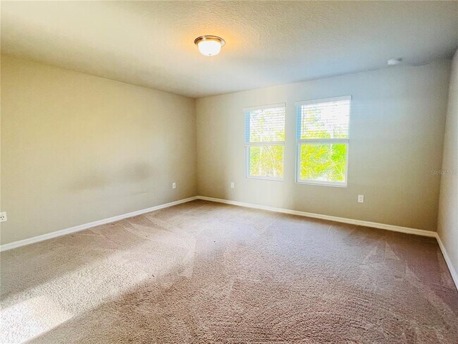 Building Photo - 17237 Cagan Crossings Blvd