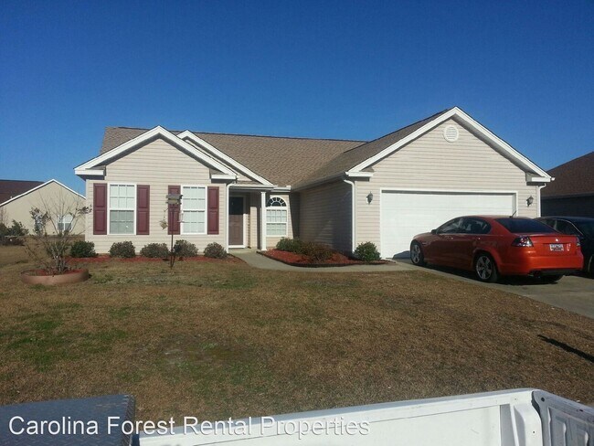 Building Photo - 3 br, 2 bath House - 158 Blackbear Road