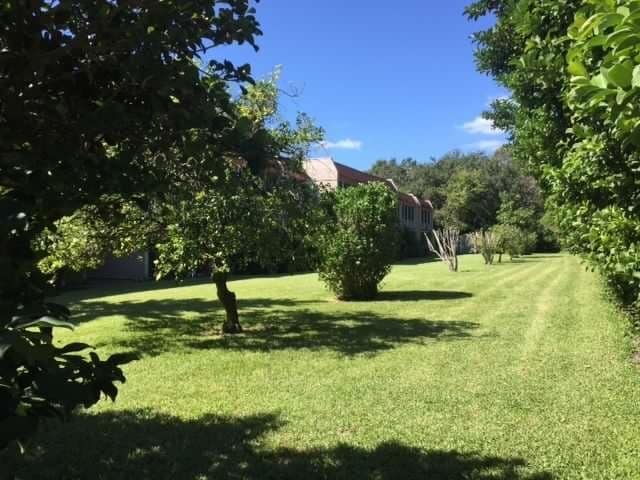 Building Photo - 2430 Harn Blvd