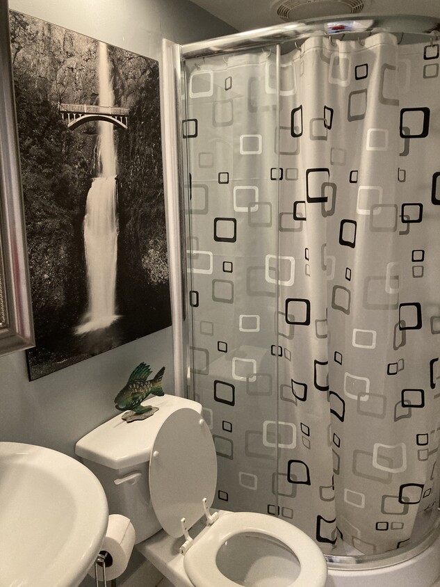modern shower bath - 1 Pleasantville Rd