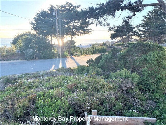 Building Photo - 73 Yankee Point Dr