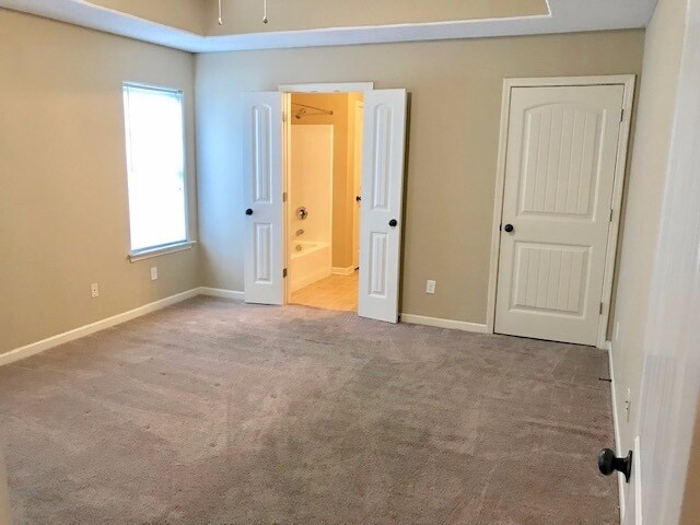 Foto del edificio - Cordova-Near Houston Leeve-3 bed/2bath