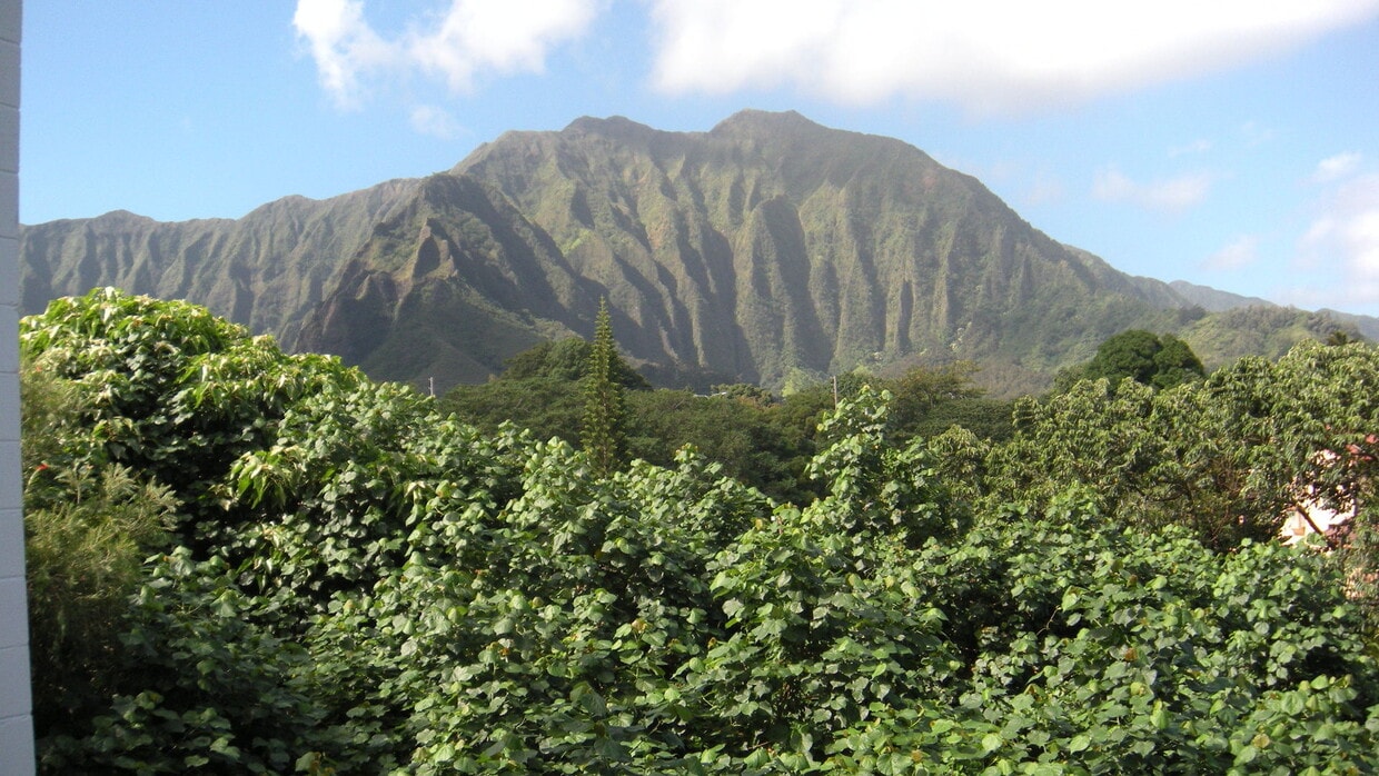 Lovely Windward Acres - Lovely Windward Acres