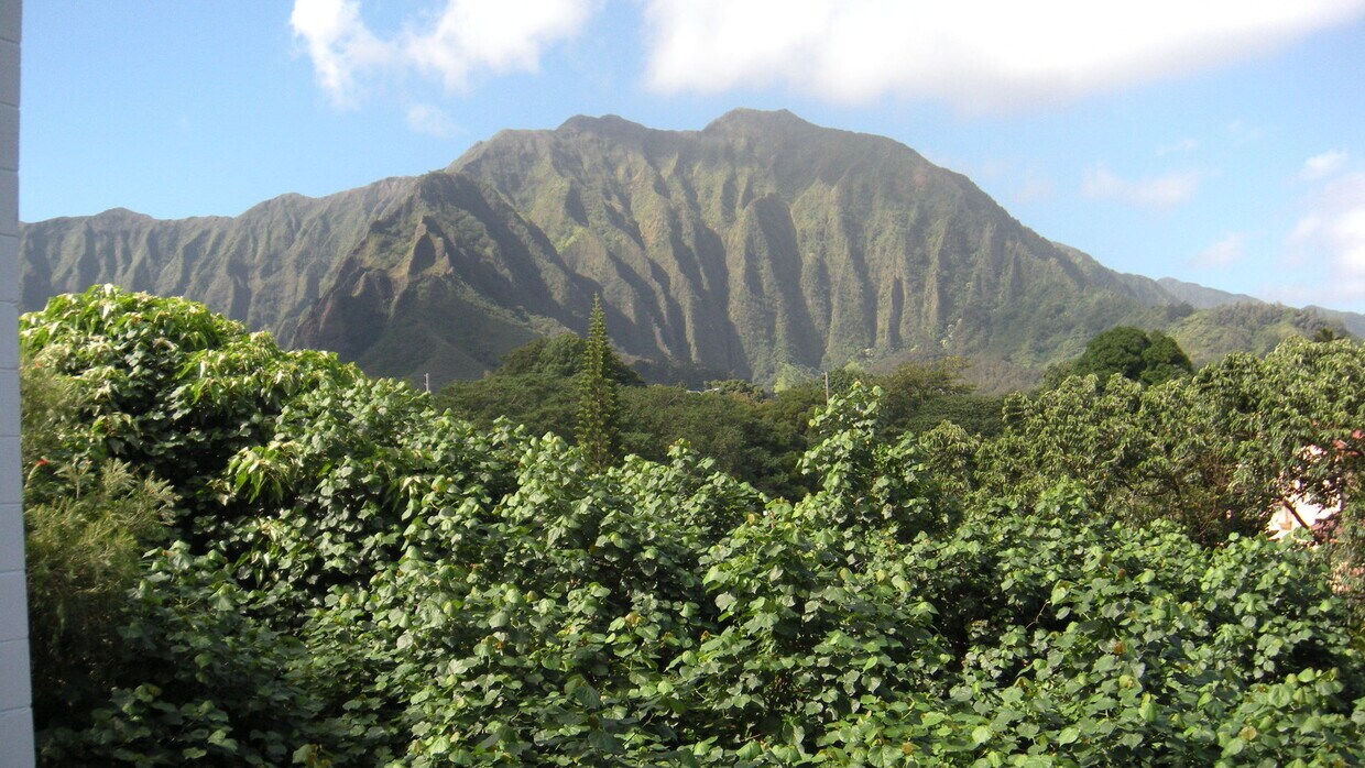 Foto principal - Lovely Windward Acres