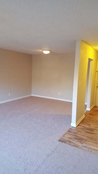 Primary Photo - 117 Cedarwood Dr