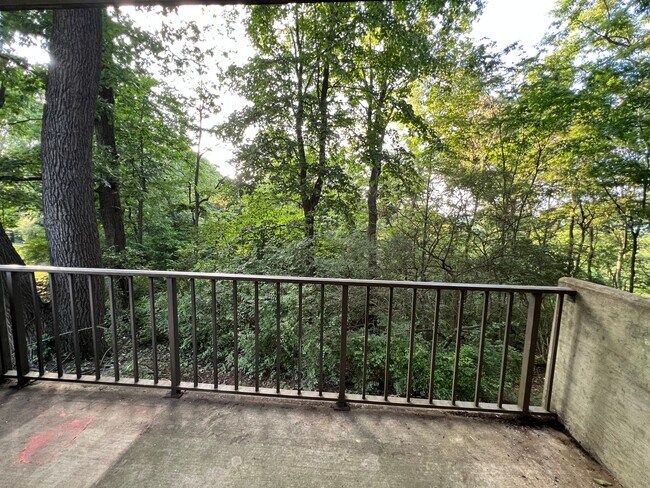 Building Photo - 2 bed 2 bath condo