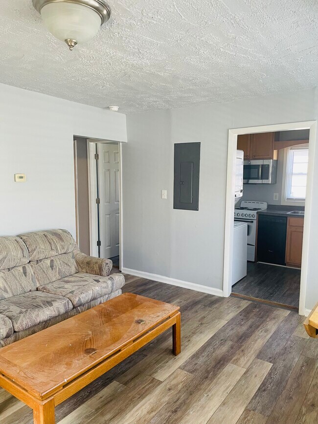 Living room - 257 4th Ave