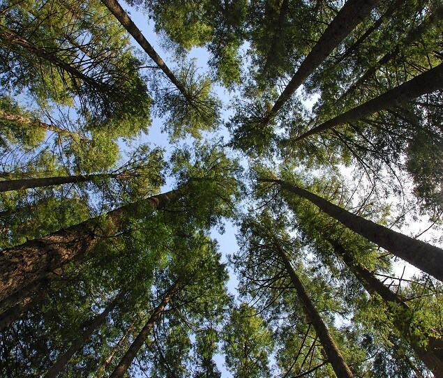 Picture of Beaverton
