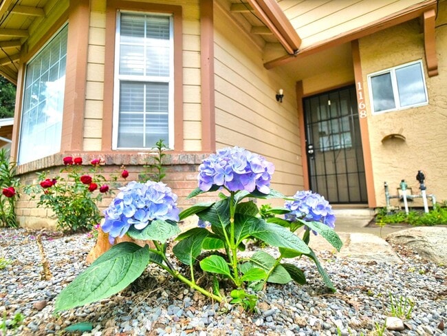 Building Photo - Cozy 2bed 1 bath South Natomas home availa...