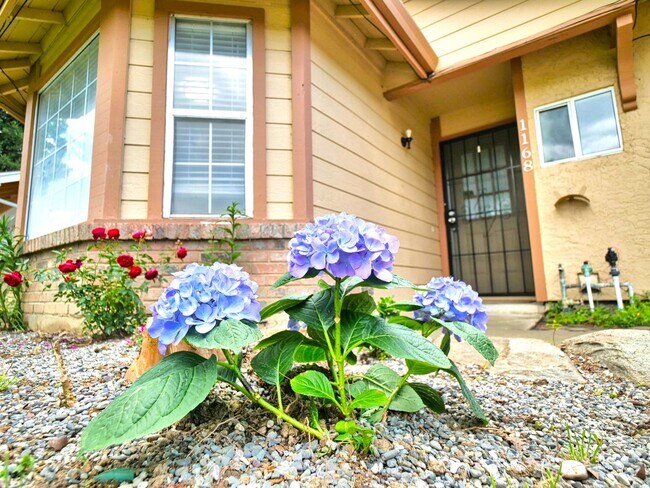 Foto del edificio - Cozy 2bed 1 bath South Natomas home availa...