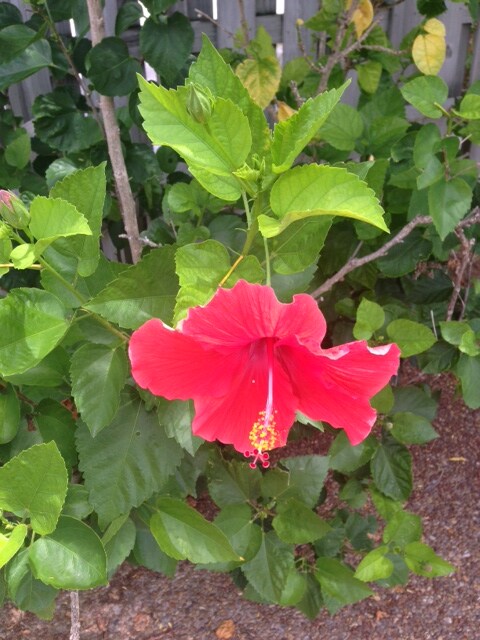 Foto del edificio - 745 NE 15th Ave