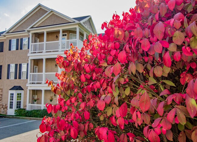 Beautifully landscaped - 1831 Suncrest Vlg