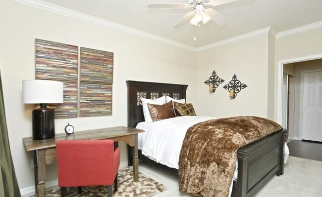 Building Photo - 1 bedroom in Houston TX 77081