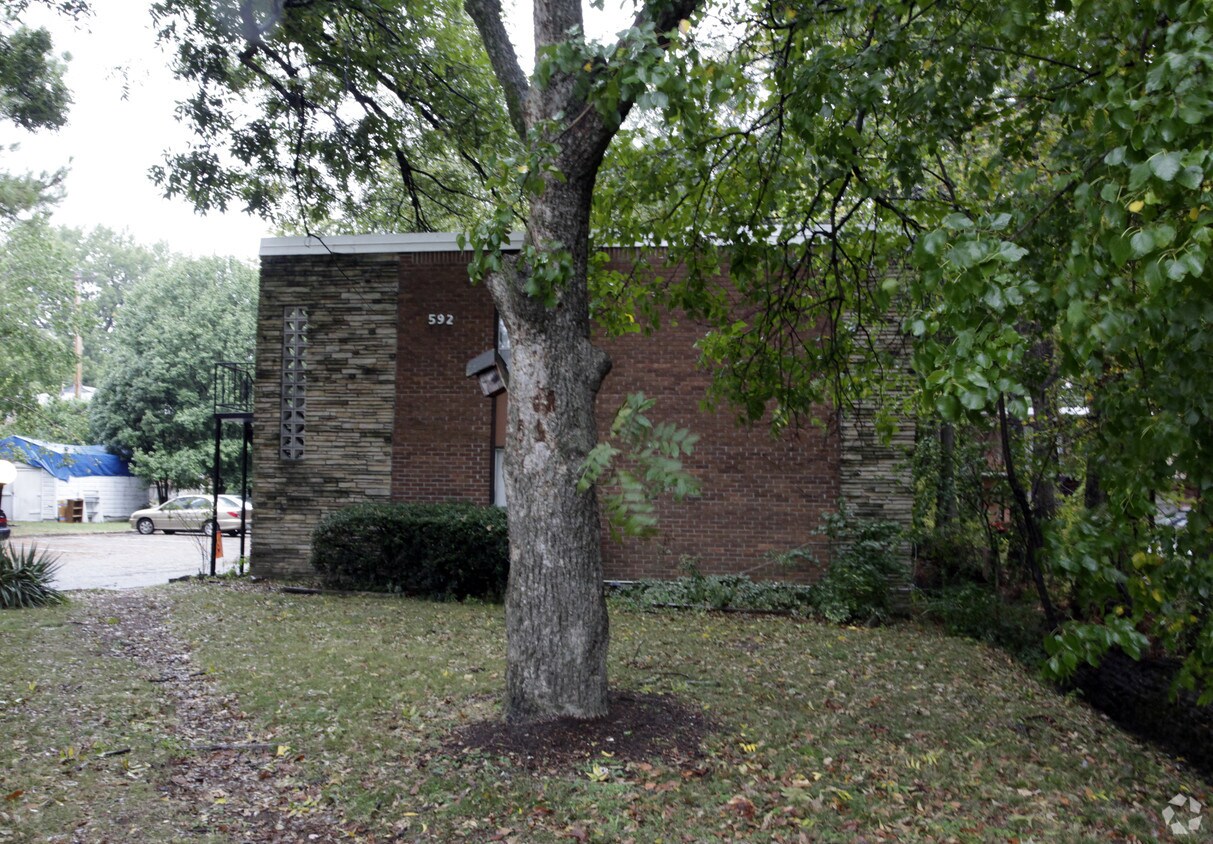 Ajenjo - Southernwood