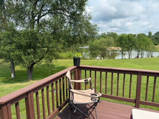 Backyard - 103 Sand Lake Ct