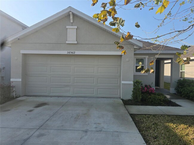 Building Photo - 36562 Silver Maize Dr