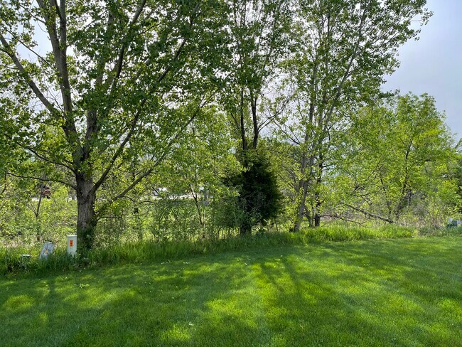 View from deck - 2535 Telluride Cir