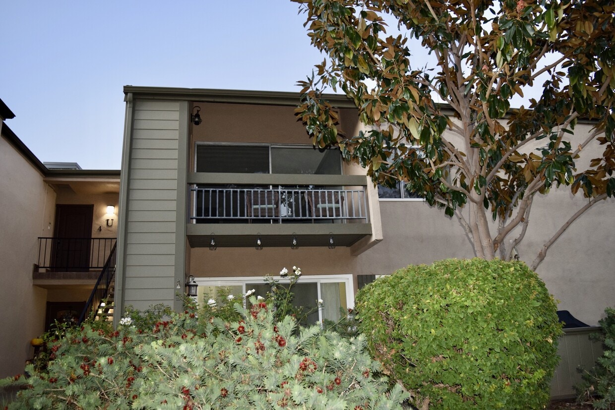 Primary Photo - 24525 Trevino Dr