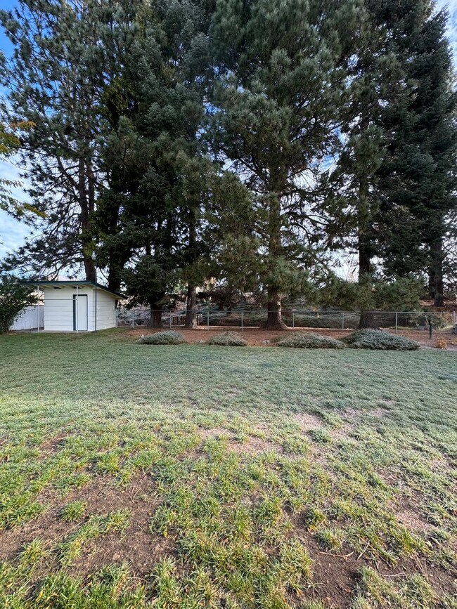 Foto del edificio - 4337 Lombard Dr