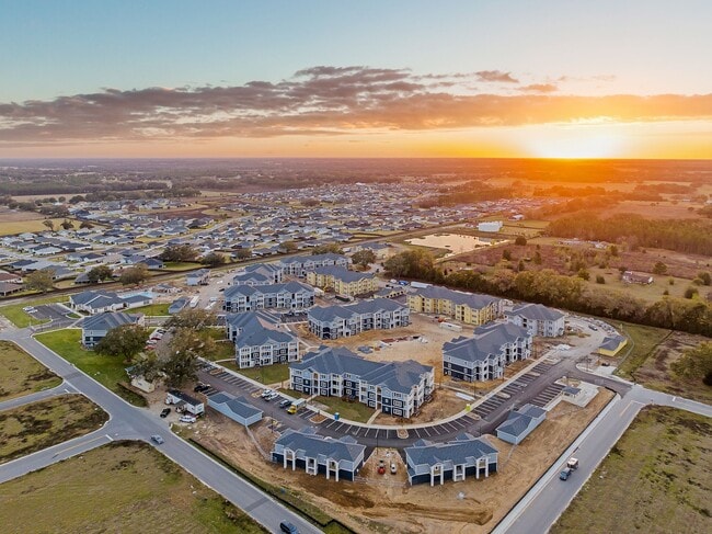Birds Eye View - The Mark at Wildwood