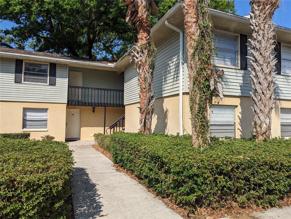 246 Red Maple Pl Unit 246, Brandon, FL 33510 Condo for Rent in Brandon, FL