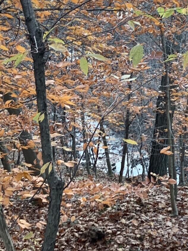 120 Maria Dr Unit WildlifeRetreat, Bedford, OH 44146 Condo for Rent