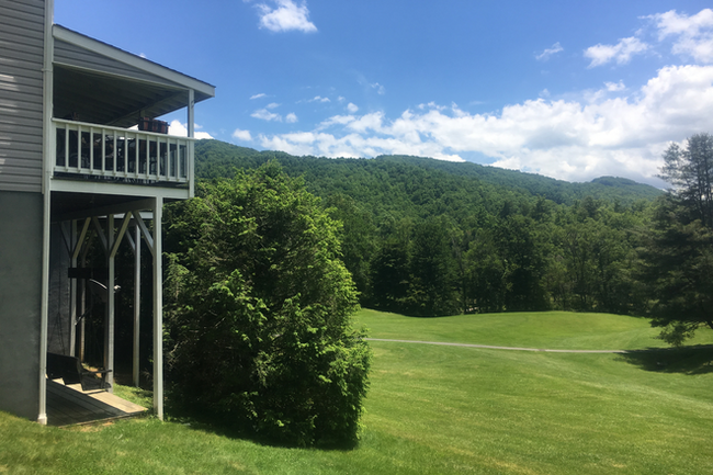 Side View looking at patio off main floor and back deck of basement room - 160 Mountain Club Dr