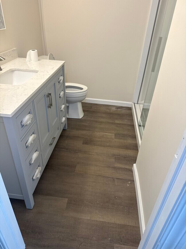Completely remodeled bathroom (Everything brand new includes walk in shower) - 36 Chestnut Hls