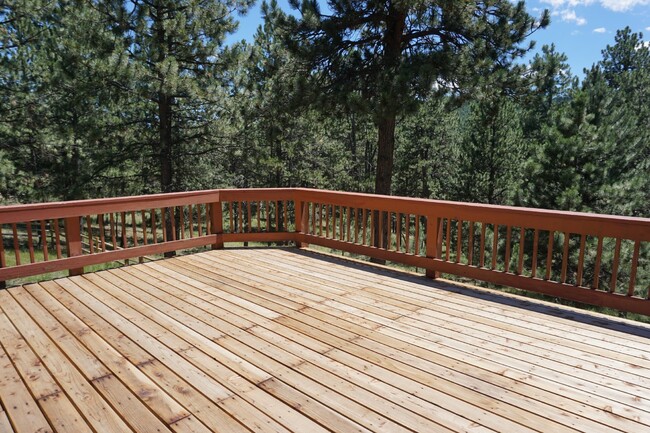 Building Photo - Ranch Style Mountain Home in Evergreen!!!