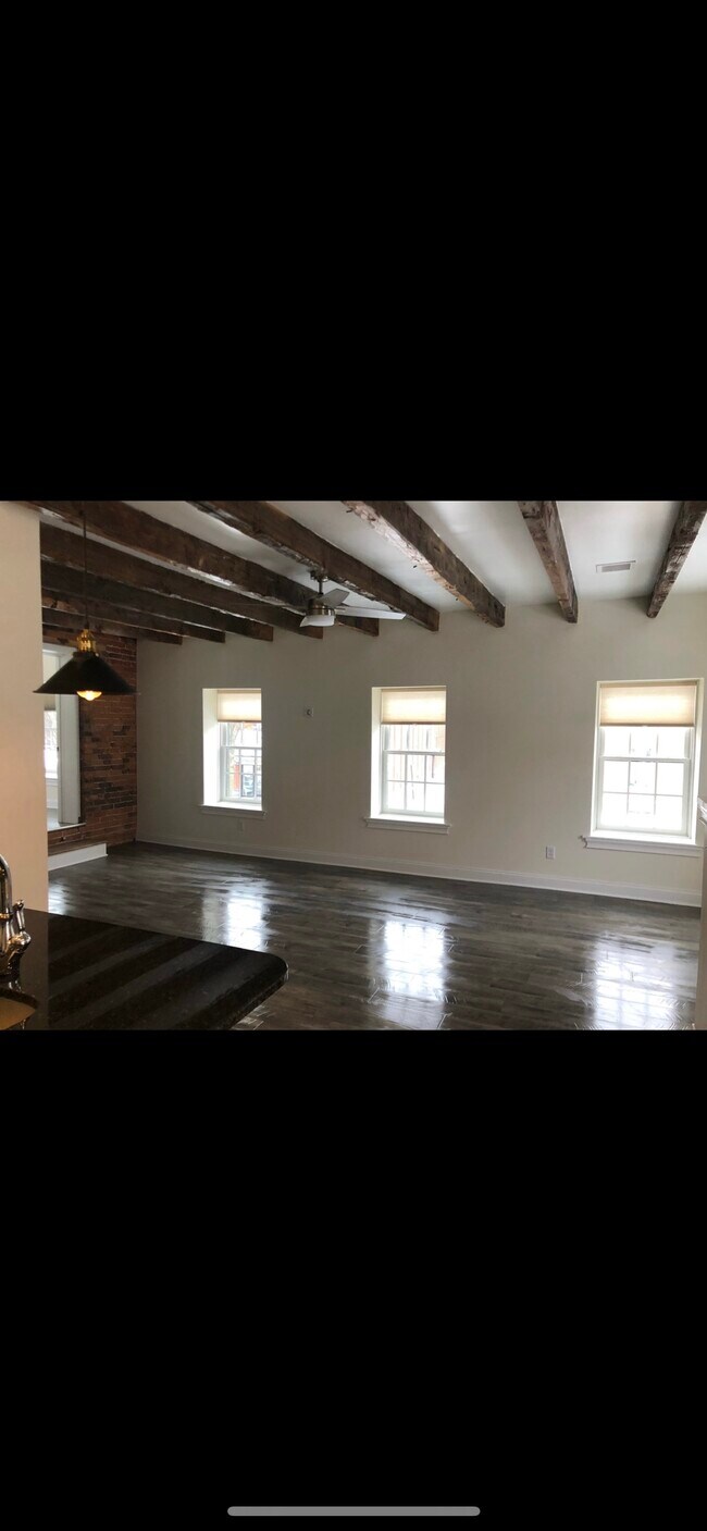 Lots of natural light, custom blinds - 74 Warren St