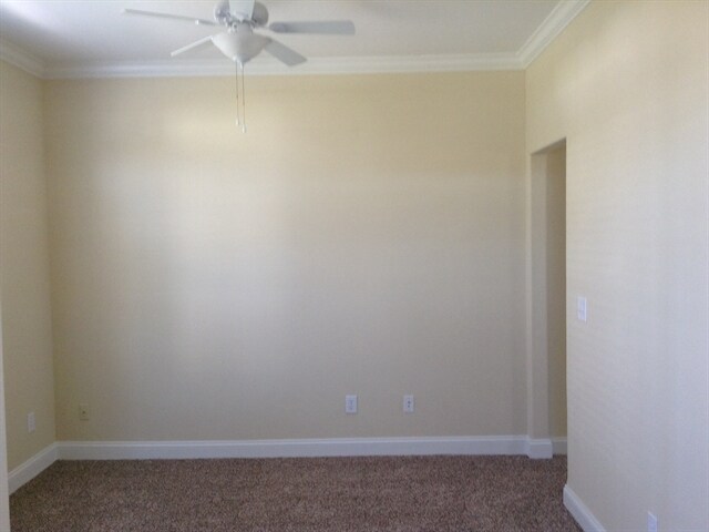 Foto del edificio - 440 Tortoise Ln