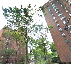 Primary Photo - 283 Avenue C