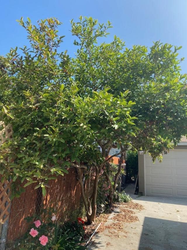 Building Photo - 1619 W 11th Pl