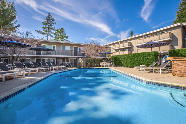 SPARKLING SWIMMING POOL - Park Lafayette