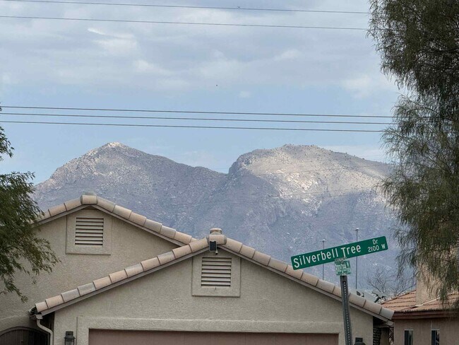 Foto del edificio - 2945 Bronze Creek Way