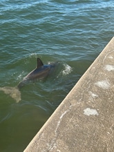 Building Photo - 464 N Paula Dr