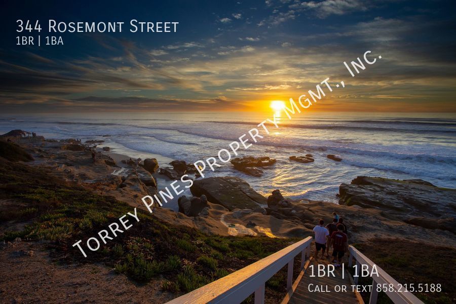Primary Photo - La Jolla Cottage at Windansea Beach with P...