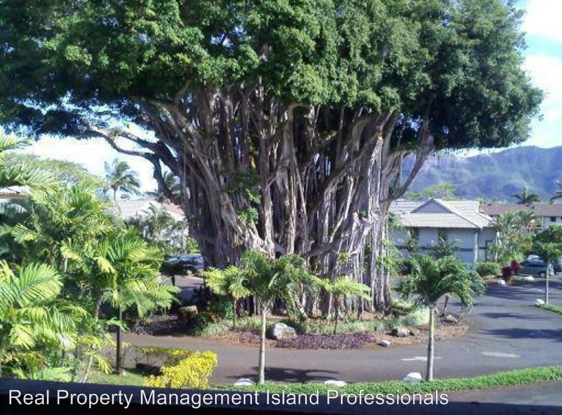 Foto del edificio - 4121 Rice St