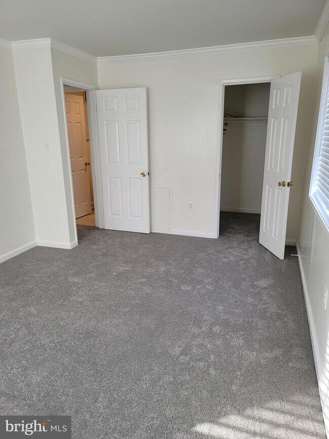 5603 Franconia Rd Unit 202, Alexandria, VA 22310 Condo for Rent in