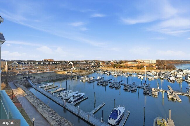 Foto del edificio - 500 Belmont Bay Dr