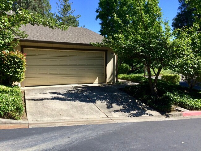 Building Photo - 2405 Deer Tree Ct