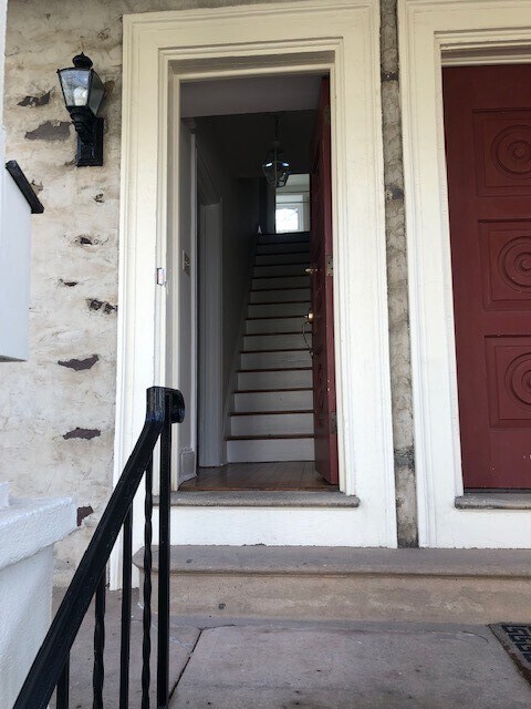 Cone on in! - 137 Spruce St