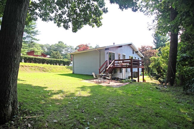 Backyard - 88 Saint Mary St