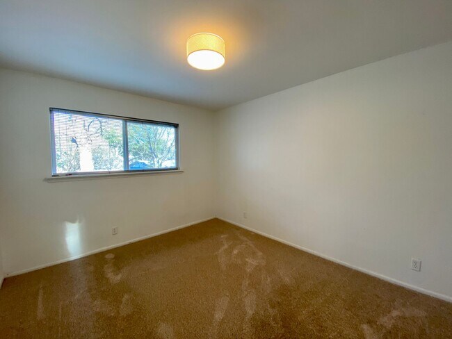Building Photo - Hidden 4 Bed 2 Bath Gem in South Austin!