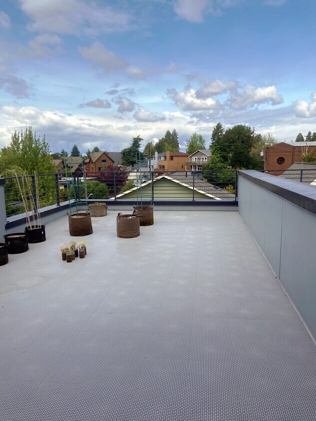 464 NE Maple Leaf Plz Unit A, Seattle, WA 98115 Condo for Rent in