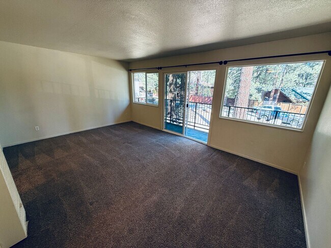 Foto del edificio - Pet friendly 1 bed apartment in South Lake Tahoe