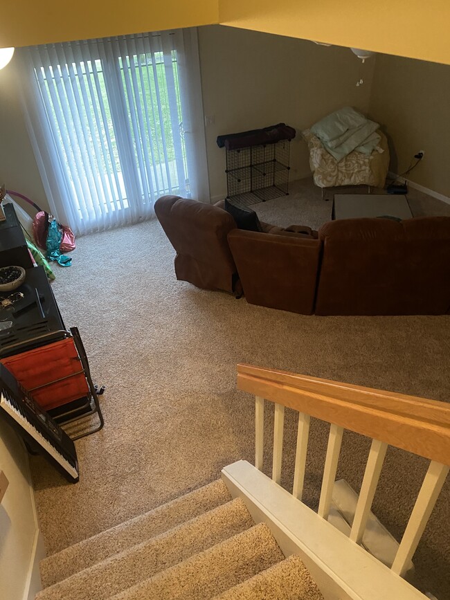 Basement - 206 Meadowside Dr