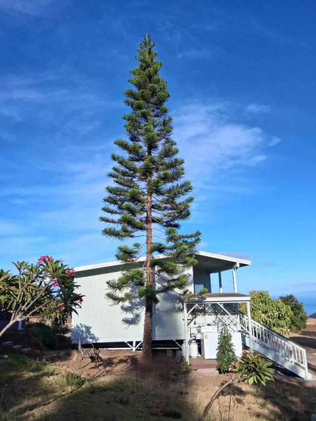 Foto del edificio - 52 Kahilinaenae Pl