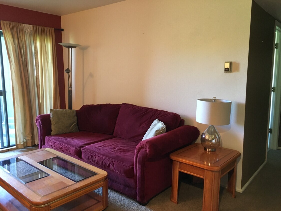 living room with convertible bed - 2727 Folsom St