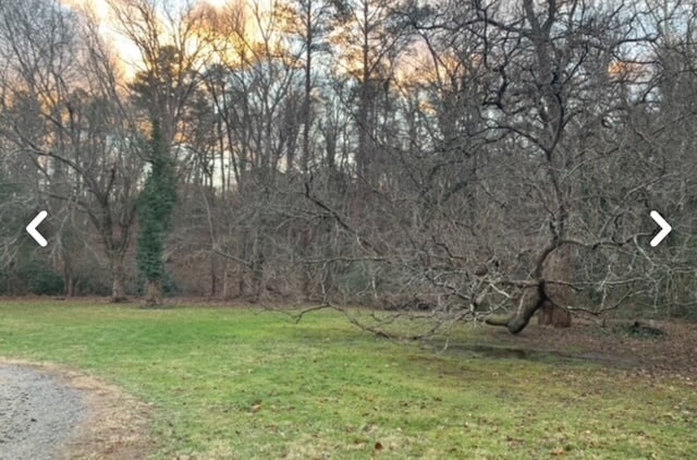 Building Photo - 64 Debra Ln